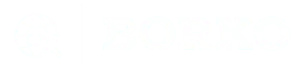 Borko Ilić logo (white)